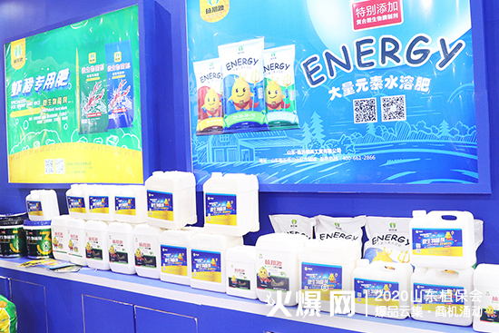 ���I���ͮa�Iʮ���꣡2020ɽ�|ֲ�������R����Ӣ���QȦ�۲��࣡