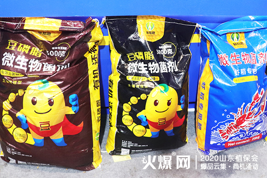 ���I���ͮa�Iʮ���꣡2020ɽ�|ֲ�������R����Ӣ���QȦ�۲��࣡