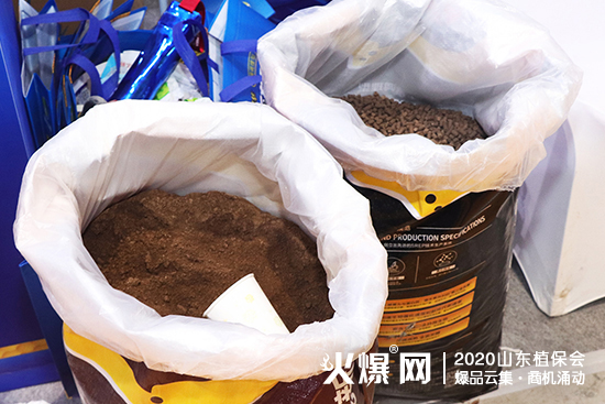 ���I���ͮa�Iʮ���꣡2020ɽ�|ֲ�������R����Ӣ���QȦ�۲��࣡