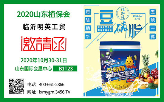 ���I���ͮa�Iʮ���꣡2020ɽ�|ֲ�������R����Ӣ���QȦ�۲��࣡