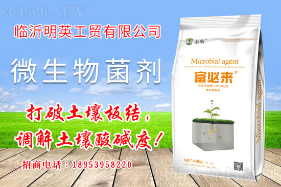 ΢�����������������ô���_ʹ��΢���������