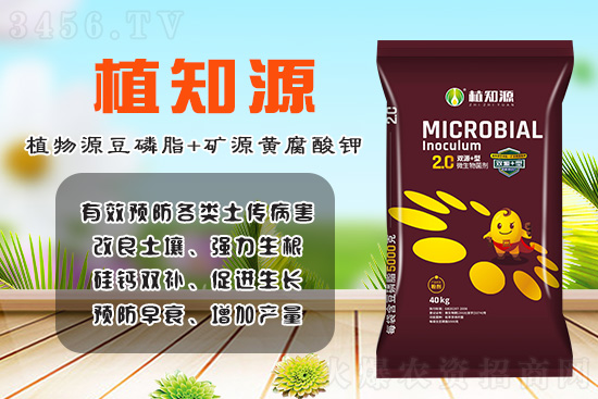 豆磷脂肥新版升級!植知源雙源+,有機雙動力,強力生根、迅速緩苗! 豆磷脂肥新版升級!植知源雙源+,有機雙動力,強力生根、迅速緩苗!
