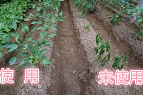 看植知源如何把“豆磷脂”變肥料? 有什么特點? 看植知源如何把“豆磷脂”變肥料? 有什么特點?