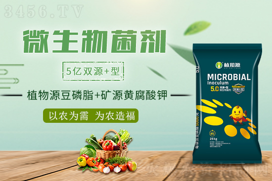 微生物菌劑到底好在哪?為什么能解決施肥不增產難題? 微生物菌劑到底好在哪?為什么能解決施肥不增產難題?